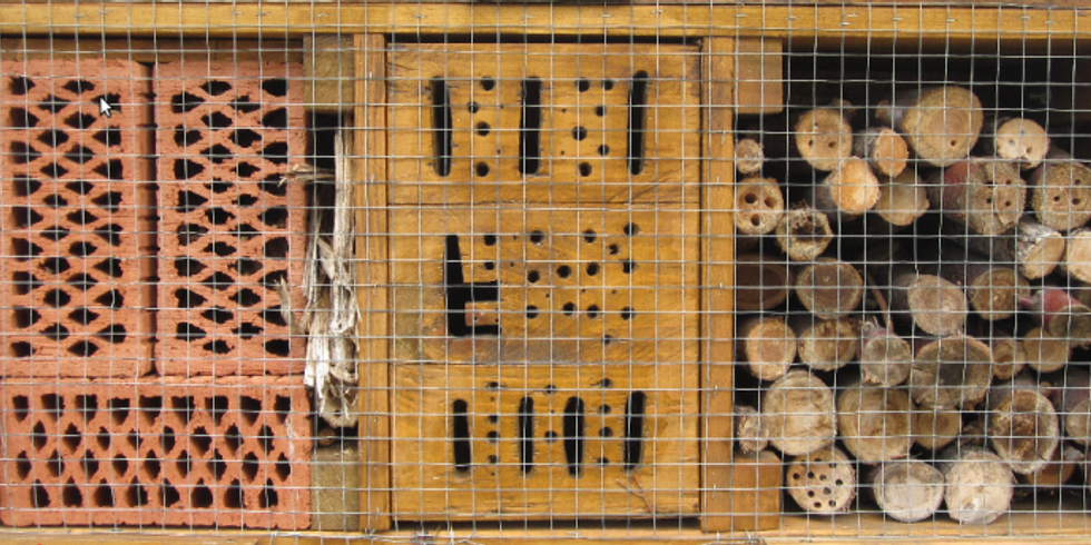 Insektenwohnungen in einem Insektenhotel