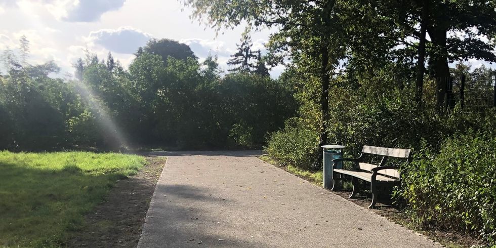  Bänke in Grünanlagen werden erneuert