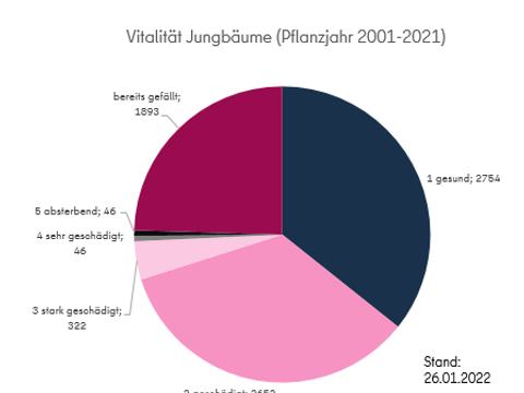 (Bild: Straßen- und Grünflächenamt)
