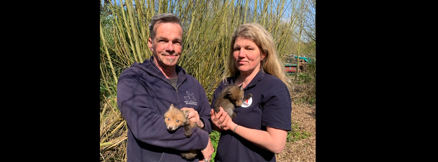 Ein Mann und eine Frau mit je einem jungen Fuchs auf dem Arm
