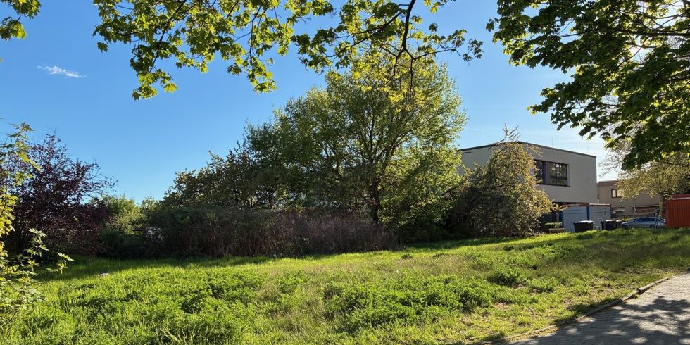 Blick vom Werner-Voss-Damm auf den zukünftigen Standort des Hauses der Jugend