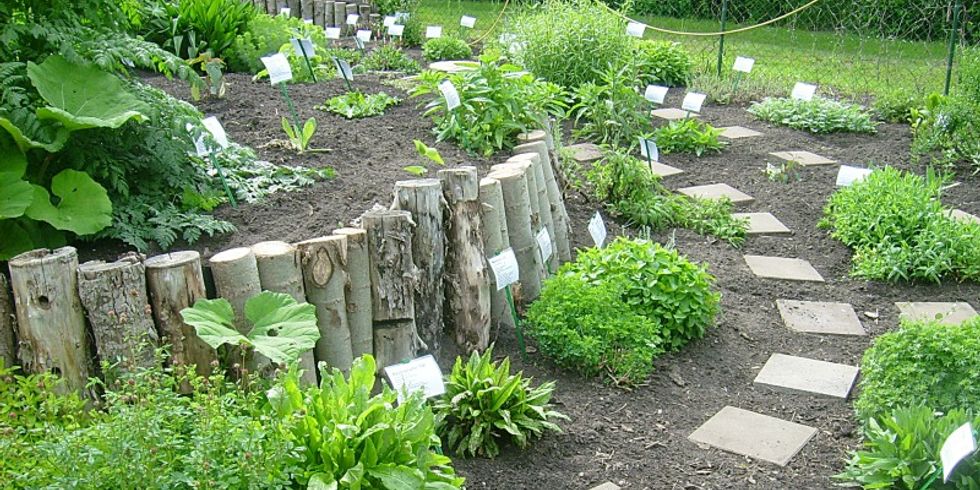 Kräutergarten KGA "Am Fuchsberg"