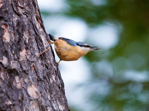 (Bild: andrea87pn - Fotolia.com)