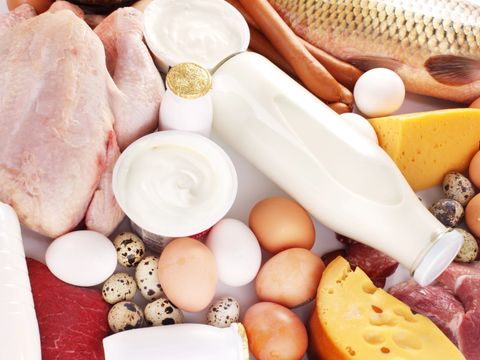 Frischfleisch und Milchprodukte