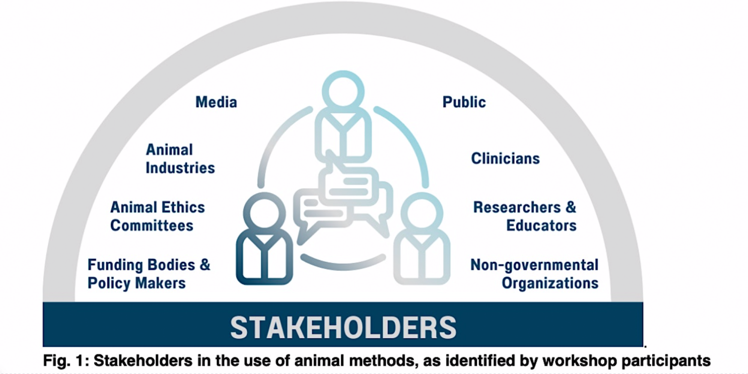 Stakeholders in the use of animal methods, as identified by workshop participants