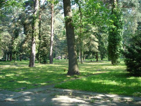 Ansicht von Kriegsgräbern aus dem 2. Weltkrieg, Friedhof in den Kisseln