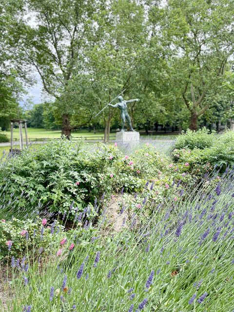 280. Kiezspaziergang im Volkspark Wilmersdorf: Rosengarten