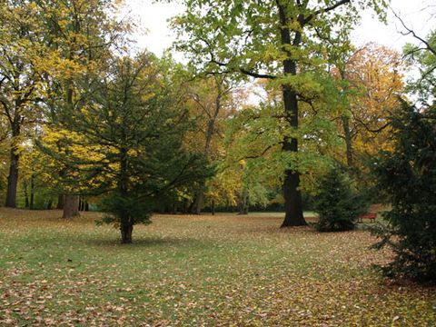 Schlosspark