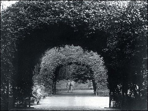 Erwin Barth - Lietzenseepark, Hainbuchenbögen, um 1930