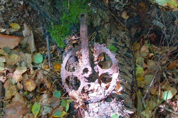 'zahnloser' Zahnkranz