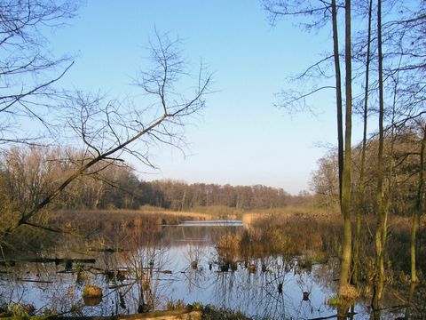Bogensee (Bild: SenUMVK)