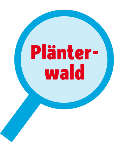 Icon_Lupe_Plänterwald