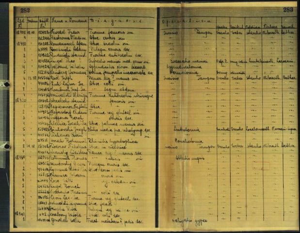 Das Operationsbuch aus dem Konzentrationslager Auschwitz-Birkenau