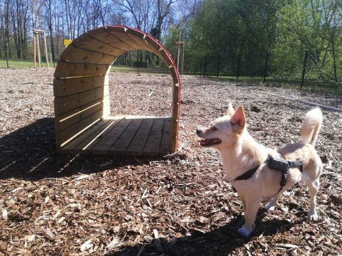 Hundegarten Steinbergpark