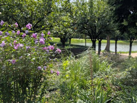 Blick aus dem Rosengarten in Richtung Blümelteich (Bild: Bezirksamt Tempelhof-Schöneberg/Ulrike Harbort)