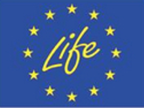 LIFE Europa Flagge
