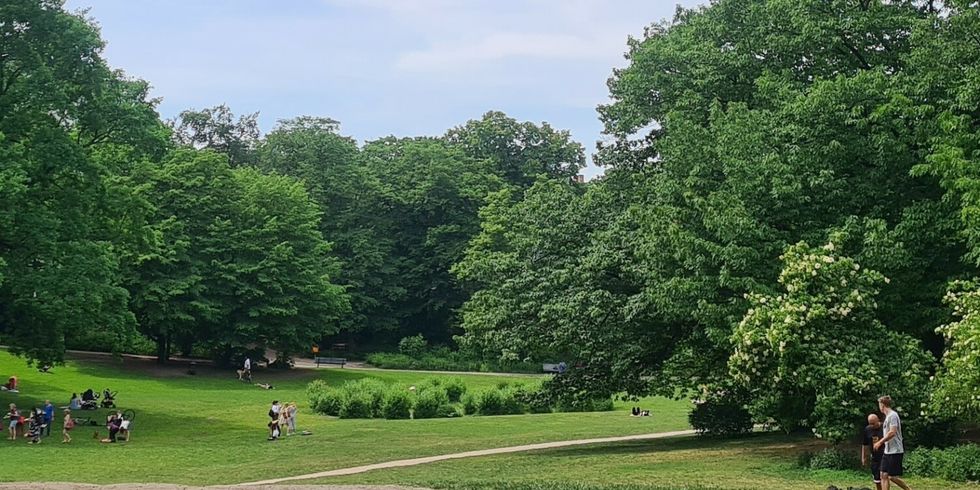 232, Kiezspaziergang Volkspark Wilmersdorf - Senke