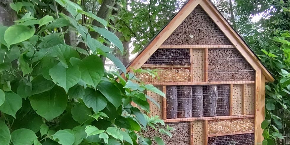 Insektenhotel