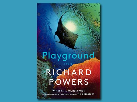 Cover: Richard Powers - Playground