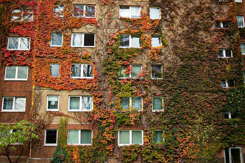 Herbst in Marzahn NordWest