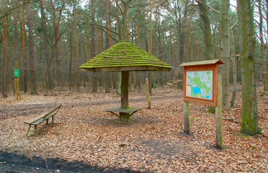 Abzweig nach Rahnsdorf