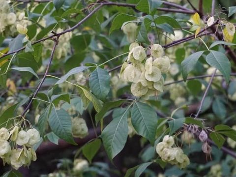 (Bild: Detlef Kirstein)