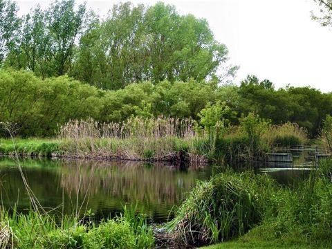 Das gereinigte Abwasser wird über zwei große Reinigungsteiche in die Landschaft geleitet. (Bild: Forstamt Pankow / Detlef Schwarz)