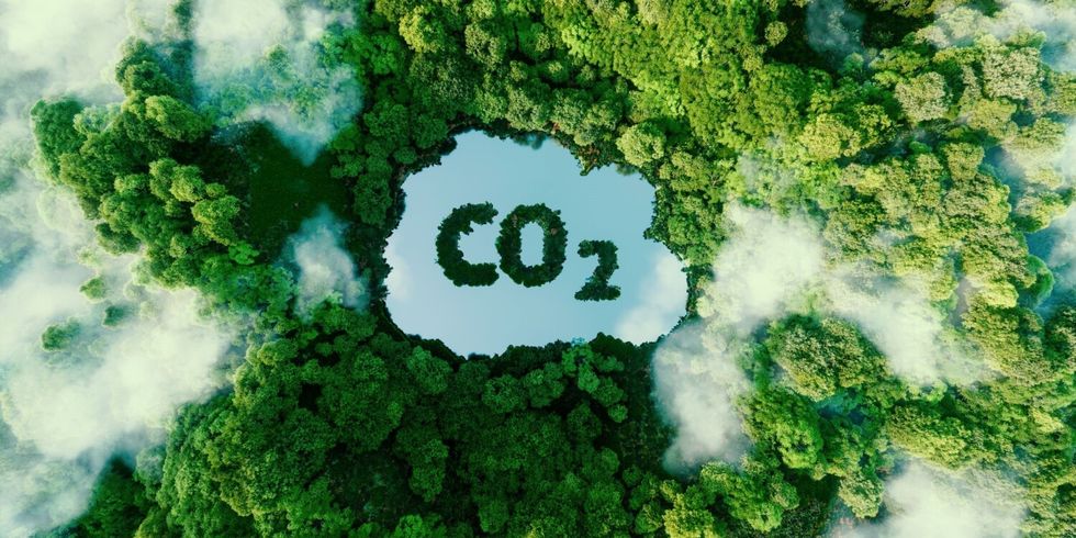 See in einem Wald von oben, es steht CO2 auf der Oberfläche geschrieben