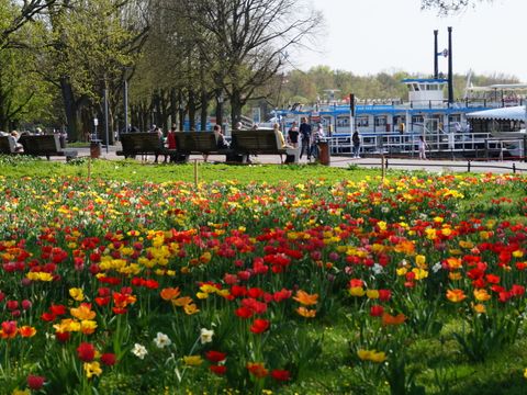 (Bild: BA Reinickendorf)