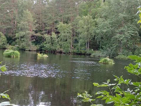 Sausuhlensee Künstliche Inseln
