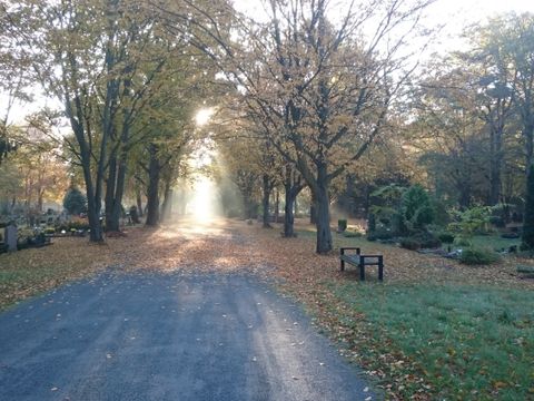 F1_Weg mit Sonnenstrahlen