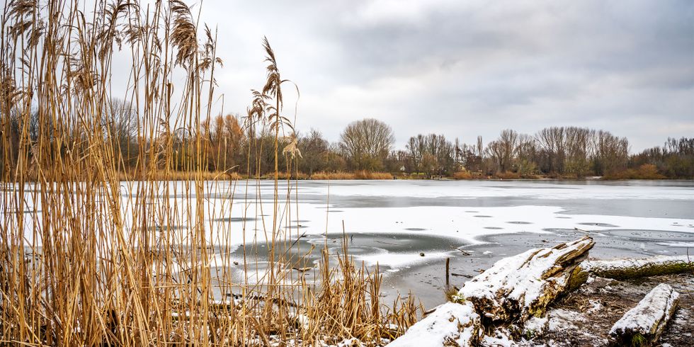 Malchower See im Winter