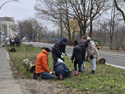 Vorsichtig bewegten sich die Schüler*innen auf den Flächen der Blühwiesen am Görlitzer Ufer