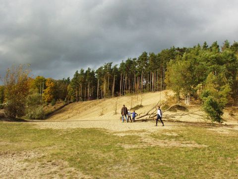 Sanddüne (Bild: SenUMVK)