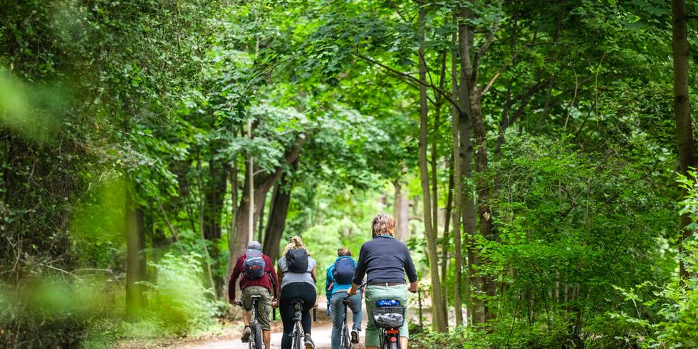Fahrradtour durch den Tegeler Forst