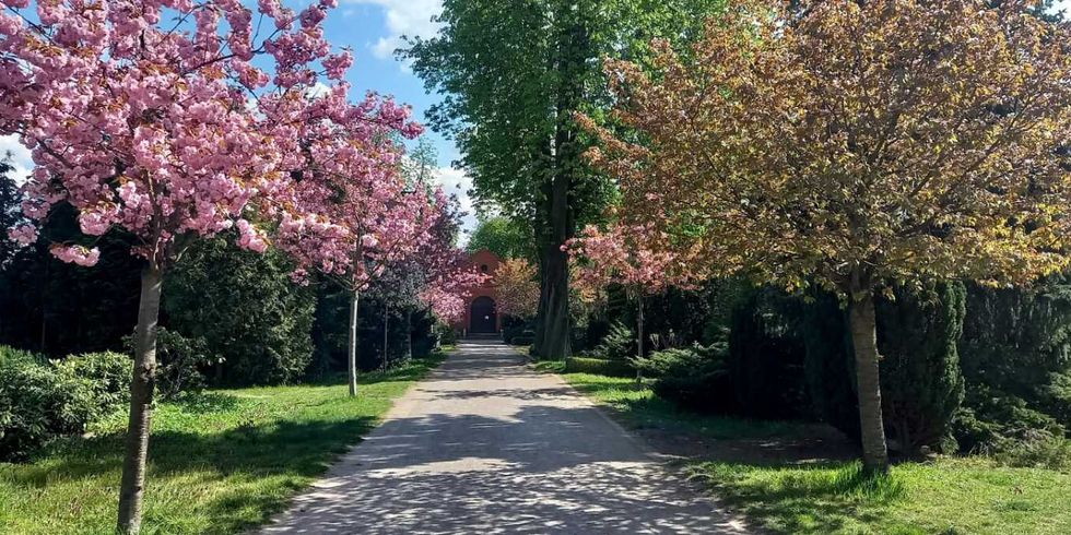 Friedhof lV Hauptallee