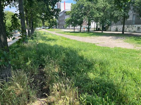 256. Kiezspaziergang - Nasses Dreieck