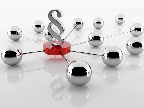 paragraph network
