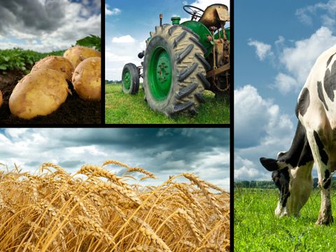 Agriculture collage
