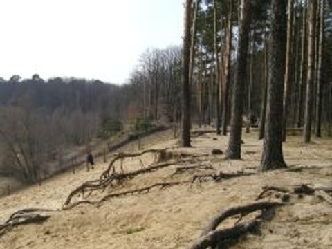 An der Kiesgrube, 12.4.2003, Foto: Alexandra Voigt