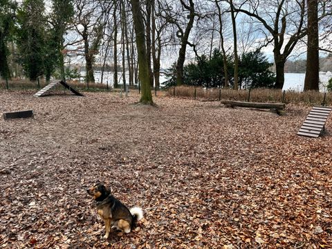 Hundegarten Freizeitpark Tegel