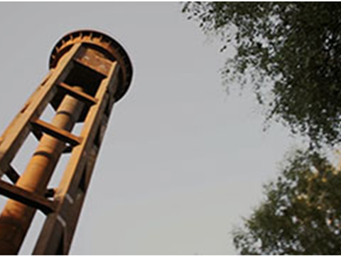 Natur Park Schöneberg