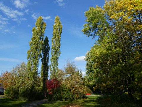 Eh. Platz "R" von 1919 nach Plänen von Richard Köhler - heute Gustav-Mahler-Platz (Bild: Denkmalschutzbehörde SZ)