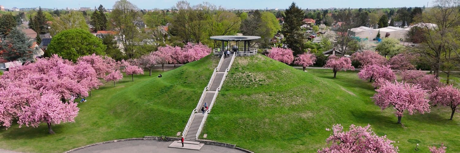 Kirschblüte im Lilienthalpark (generated image)