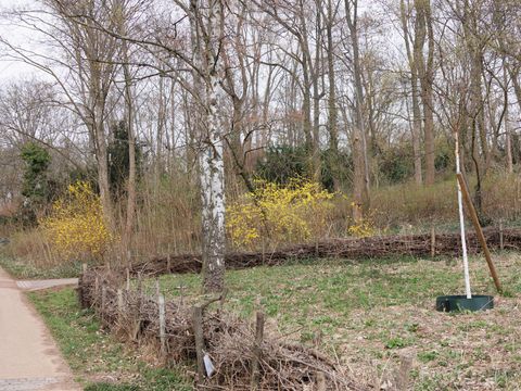 Frühling im Fritz-Schloß-Park