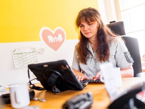 Antragstellung Berliner Forsten