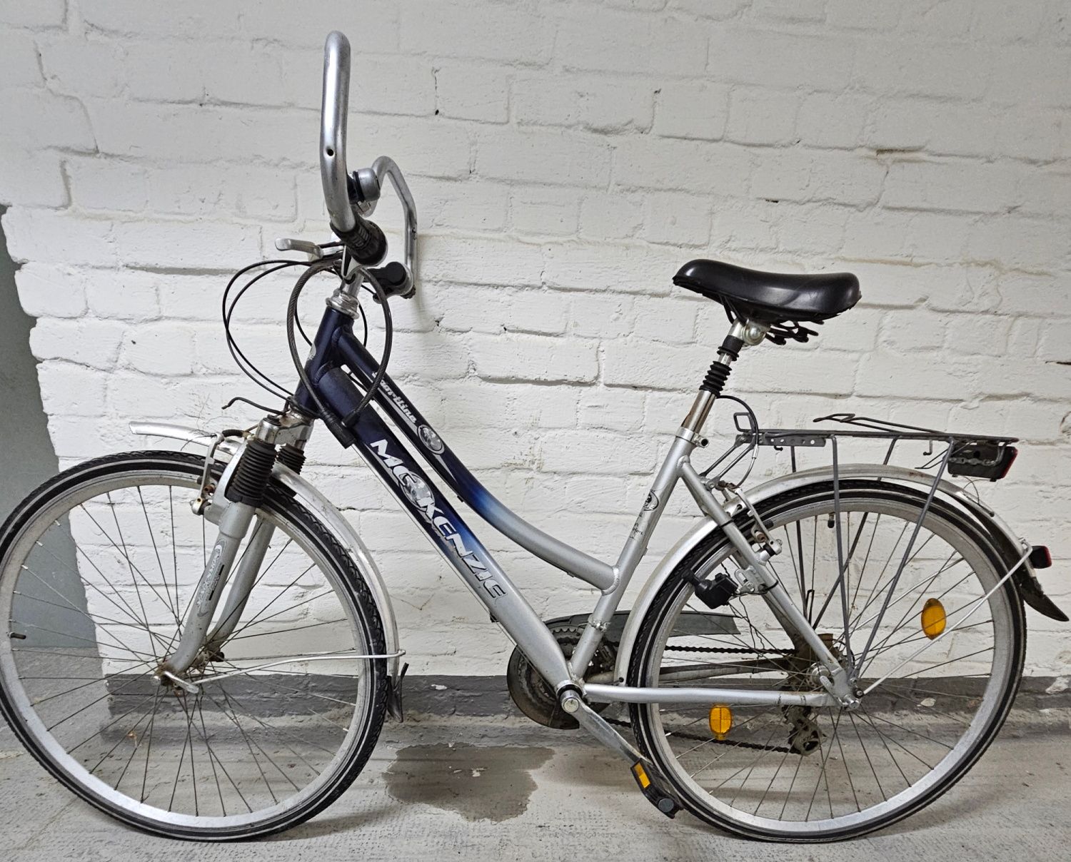 Blau-silbernes Damenfahrrad