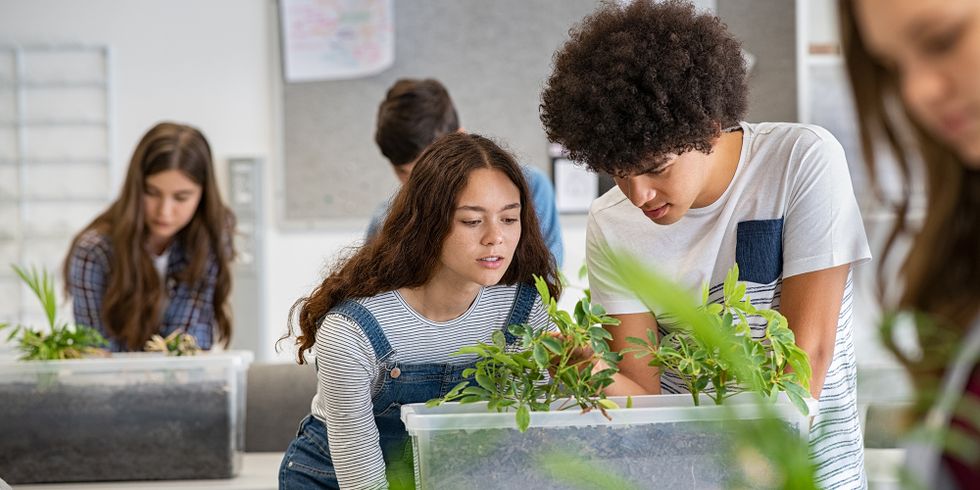 Schülerinnen und Schüler im Bio-Unterricht