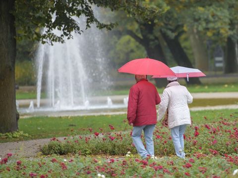 Spazieren durch den Rosengarten