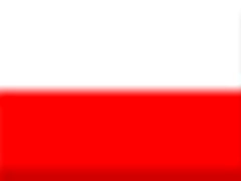 Sprache Polnisch